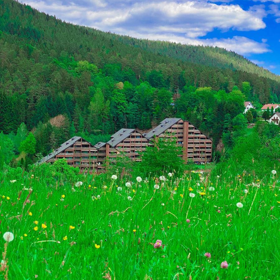 Ferienwohnung Günter im Tonbachtal Baiersbronn Exterior foto